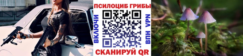 Галлюциногенные грибы прущие грибы  МЕГА зеркало  Чехов 